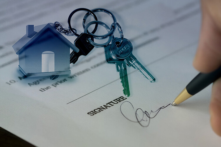 Buy Properties